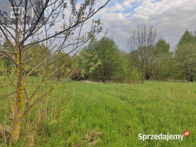 Działka Hadle Kańczuckie 33000m2 Sprzedaż