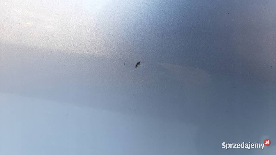 Drzwi Prawy Przód DAIHATSU CUORE VI L251