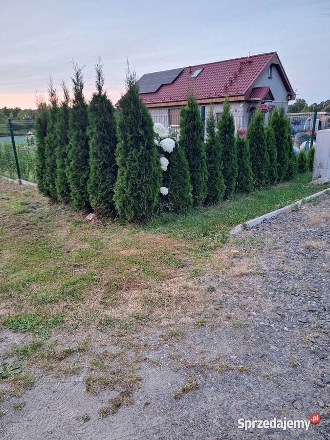 Dom na sprzedaż Liczba pokoi 3 Domy Lubin