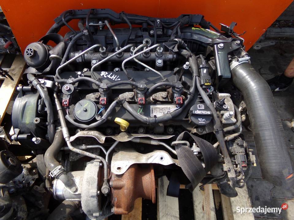 ZAFIRA C INSIGNIA ANTARA 20 CDTI 17r 170 B20DTH osobowe mazowieckie Suków