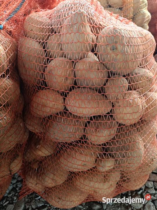 Ziemniaki jadalne Tarnobrzeg sprzedam