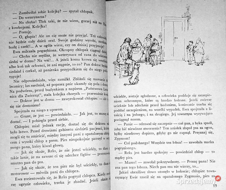 Deszcz zając i chłopiec Zofia Woźnicka lubelskie Chełm sprzedam