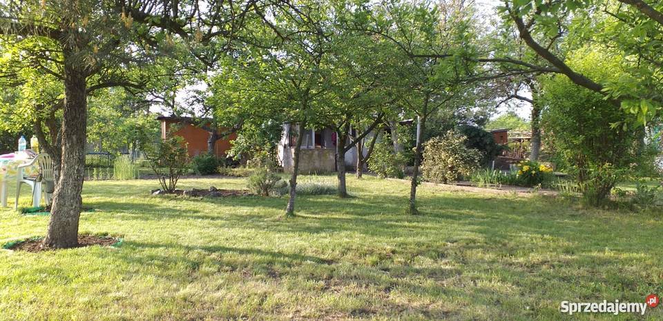 Ogródek działkowy działka ROD Majówka Legnica