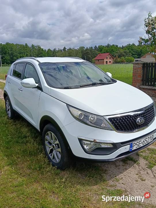 Kia sportage 2015 Sportage Janówek