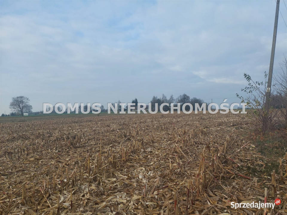 sprzedaży działki Tworzyjanki 1500m2 1500m2