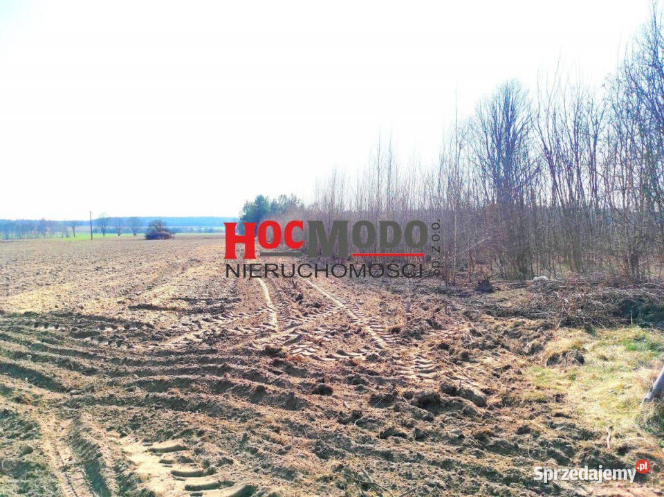 Działka budowlana 11400 m2 Serock sprzedam