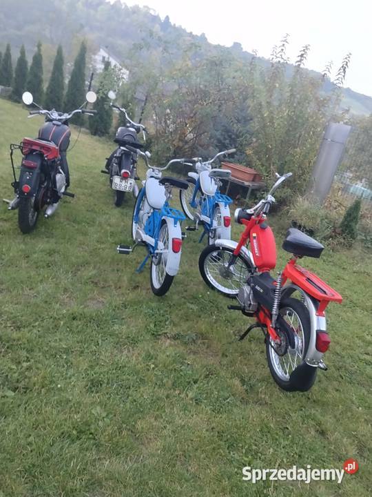 Pannonia 250 i Rt mz 125 z dokumentami komar Tenczynek