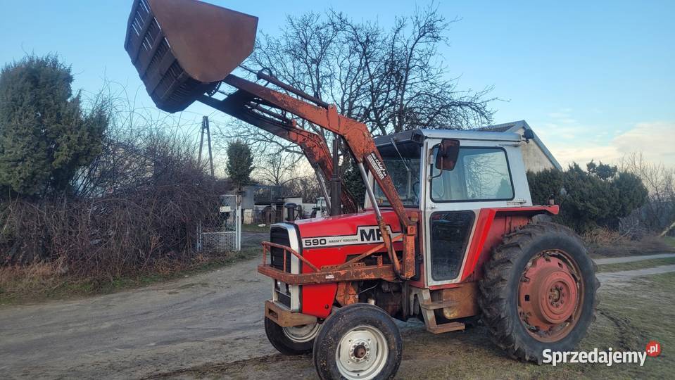 Mam do sprzedania ciągnik Massey Ferguson MF 590 Konin