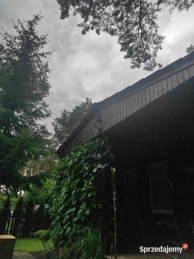 Działka jeziorem Dymaczewo Nowe Własnościowa prąd