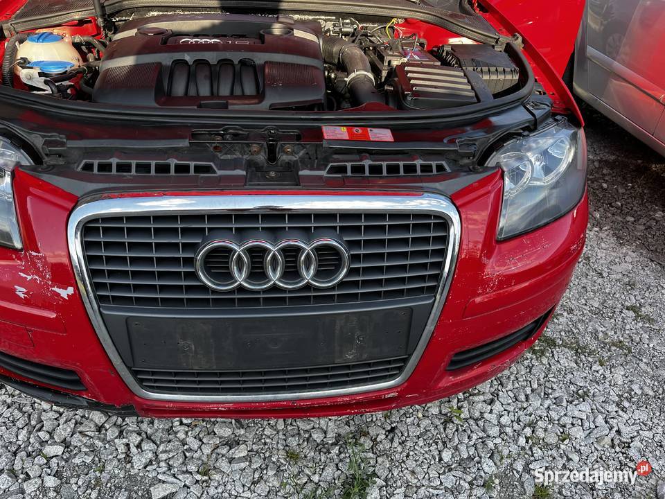 Audi A3 8p 5 drzwi 16 mpi czesci Gostyń