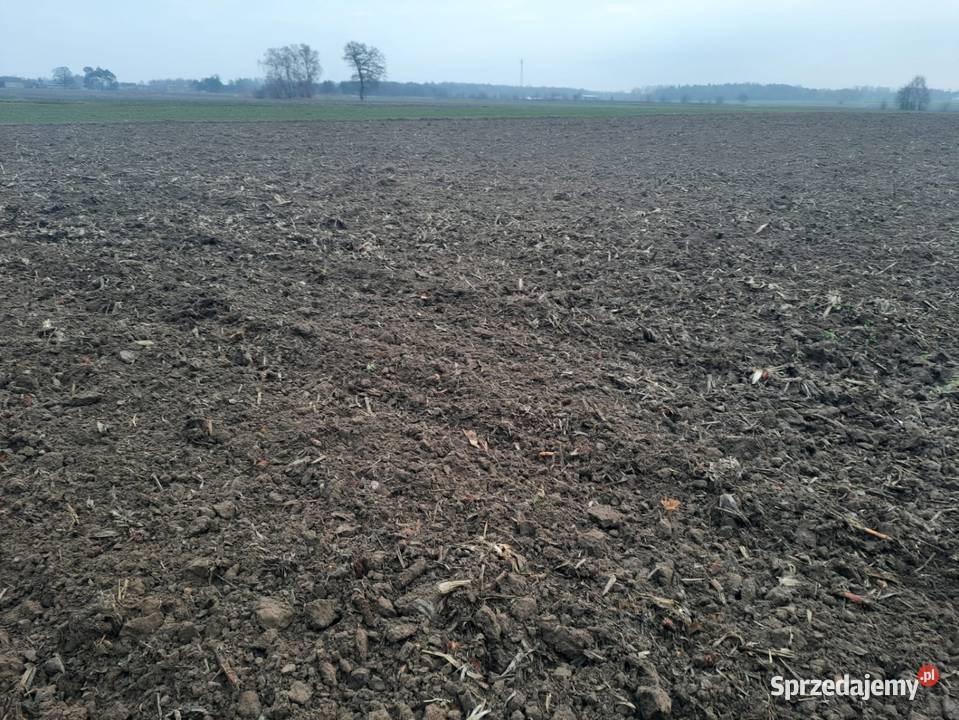 Talerzówka nieuszkodzony Rolnictwo Łódź