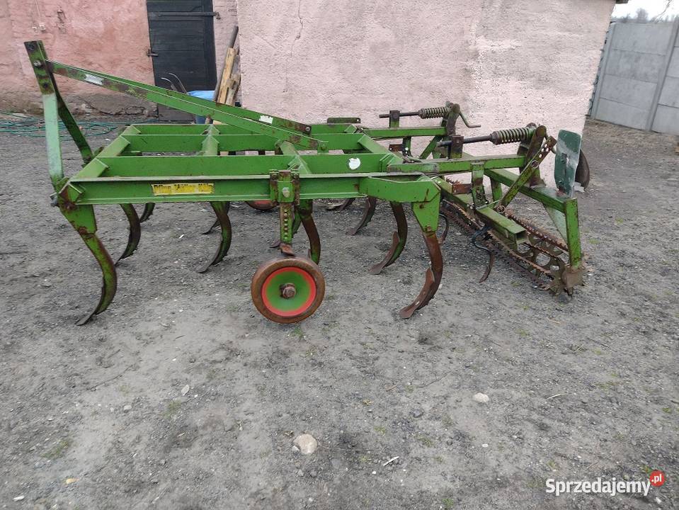 Gruber 11 łap wielkopolskie Wilczyn sprzedam