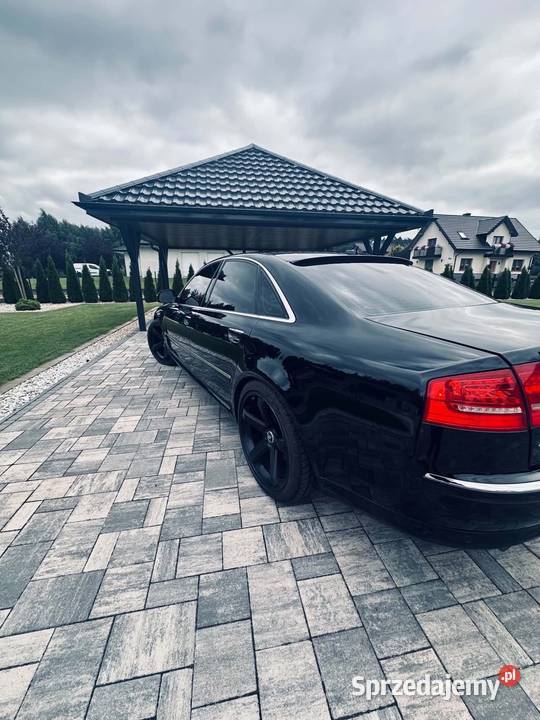 Zarejestrowany 42 V8 Turek