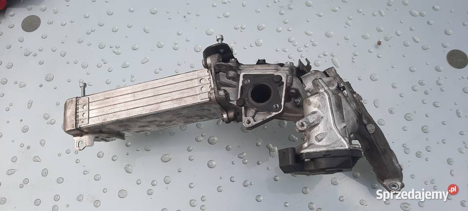 MERCEDES C W 204 W 2012 OM 651 EGR KOMPLETNY Rok produkcji 2012 Silniki i osprzęt sprzedam