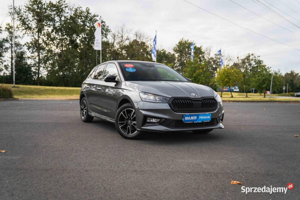Skoda Fabia 10 TSI