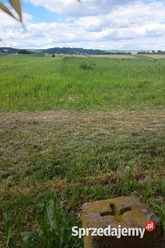 Działka rolna Cholerzyn 5400 m2 Sprzedaż Grunty i działki