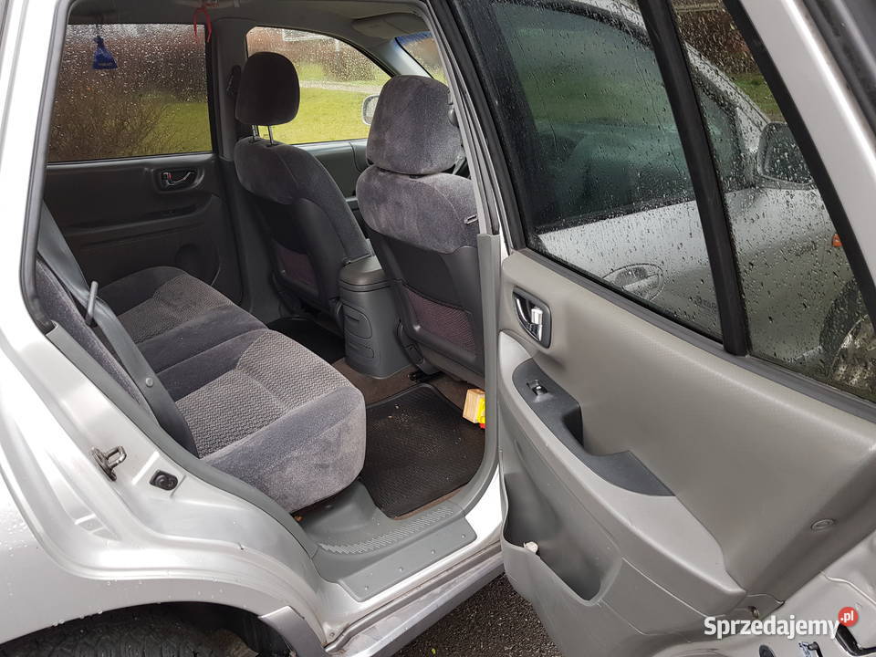 Hyundai SantaFe 20 2000cm3 Piotrków Trybunalski