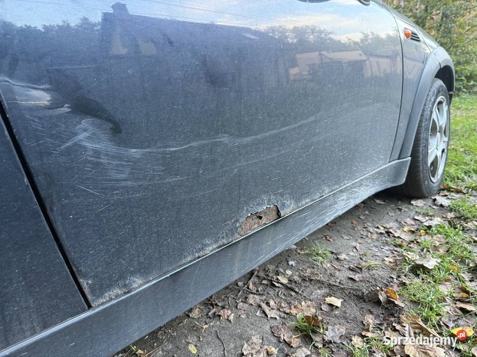 Drzwi lewe i prawe MINI Cooper R50 R52 R53 same osobowe Drzwi Zaborówek