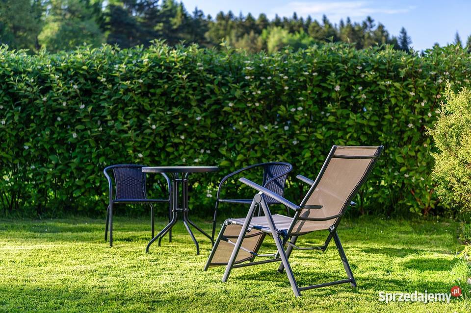 Trawa z rolki trawnik z rolki cała Polska wielkopolskie Poznań