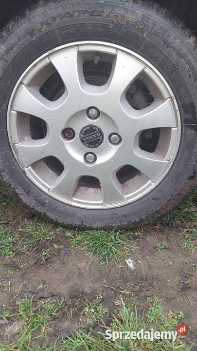 Opony wielosezonowe Dębica Dębowa Kłoda