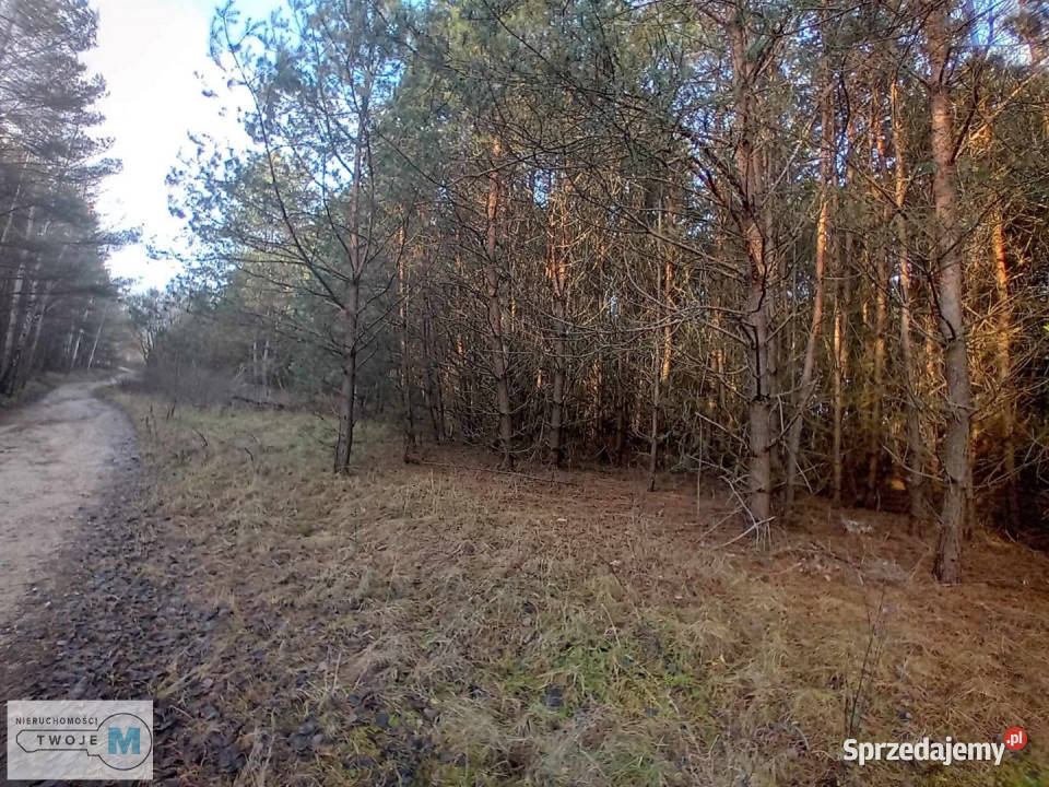 Do sprzedaży działka 17841m Daleszyce prąd świętokrzyskie