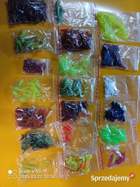 Gumy okoniowe mazowieckie Wyszków