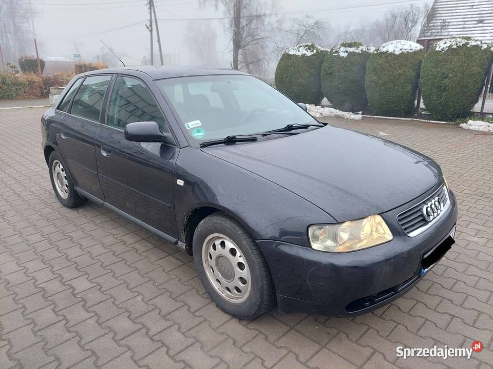 Audi A3 16 102 Rok produkcji 2002 Pszczyna