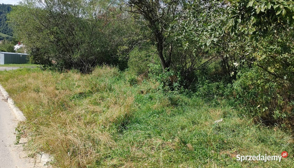 Ustrzyki Dolne Wincentego Pola