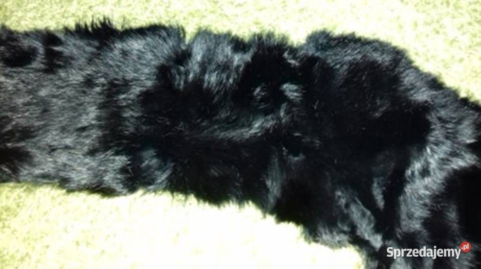 Kołnierz naturalny Pozostałe Warszawa sprzedam
