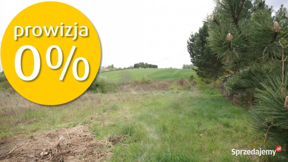 Duża działka rolna ok 1 ha Jakubowice Konińskie Sprzedaż