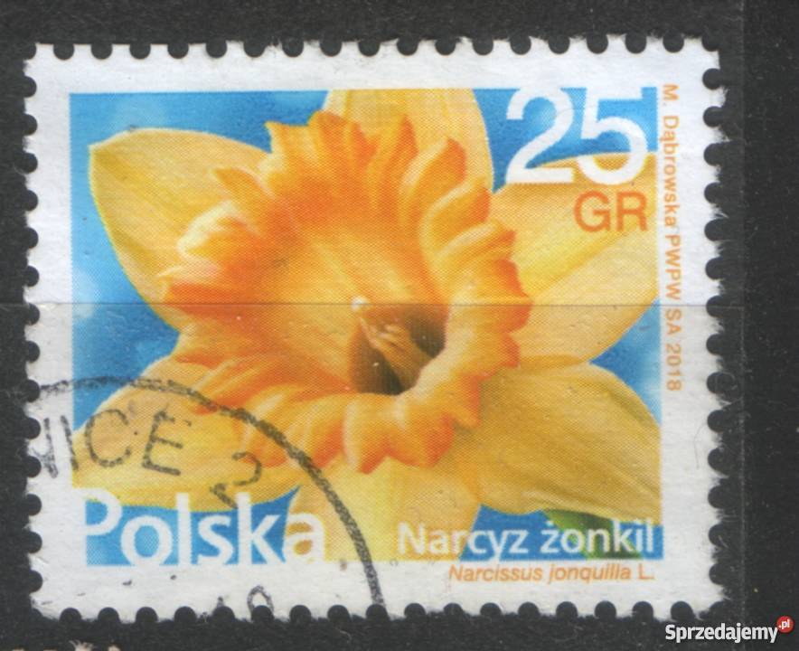 Zn Fi 4829 kas 2018 śląskie Gliwice