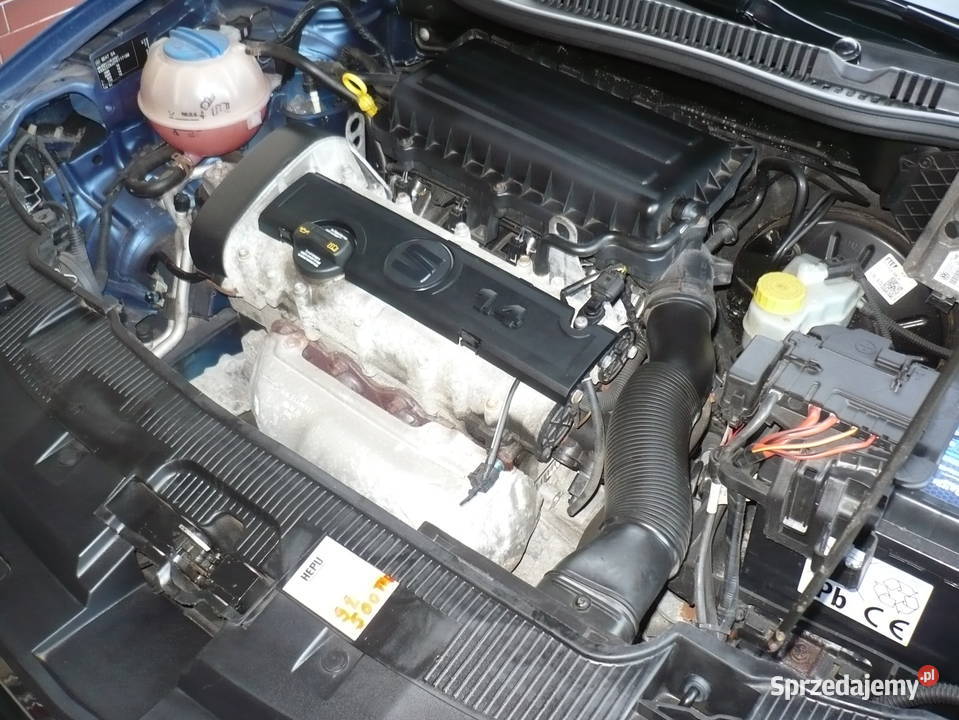 Seat Ibiza Igła 97 tysi Ostatnia Sztuka Taka Ibiza Samochody osobowe Sztum