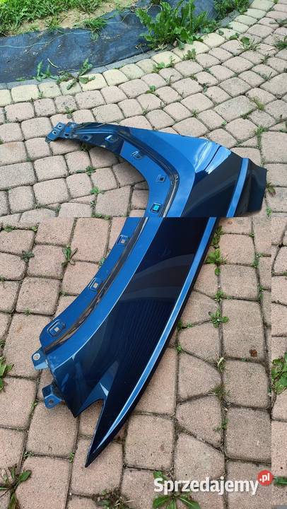 BŁOTNIK PRZÓD LEWY HYUNDAI TUCSON 4 IV 20r Błotniki Bircza