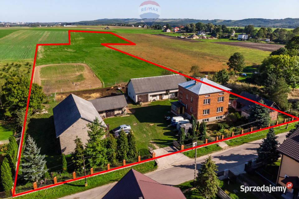 STADNINA KONI GOSPODARSTWO ROLNE GMINA WOLBROM Lgota Wolbromska sprzedam