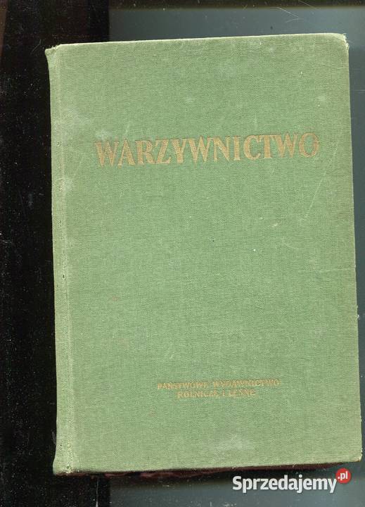 Warzywnictwo Lityński red Kultura i Rozrywka zachodniopomorskie Szczecin