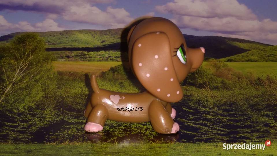 LPS jamnik 556 UNIKAT oryginalny Littlest Pet