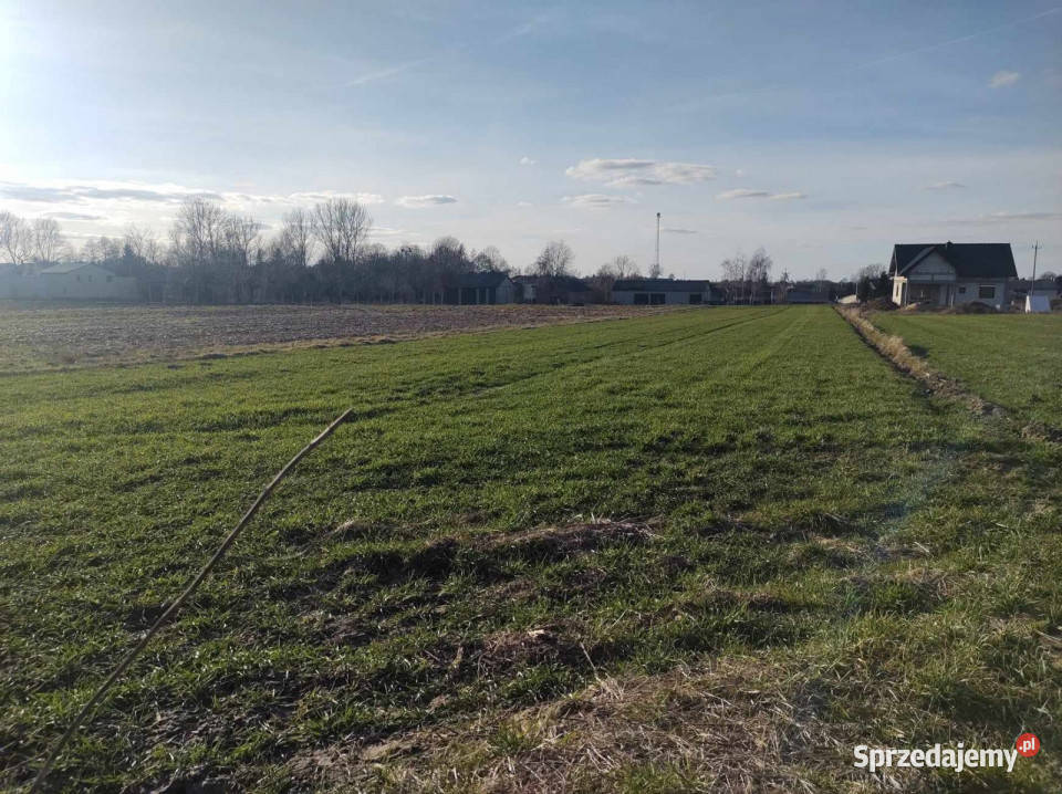 Działka 2000 metrów Wojciechów Nieruchomości lubelskie
