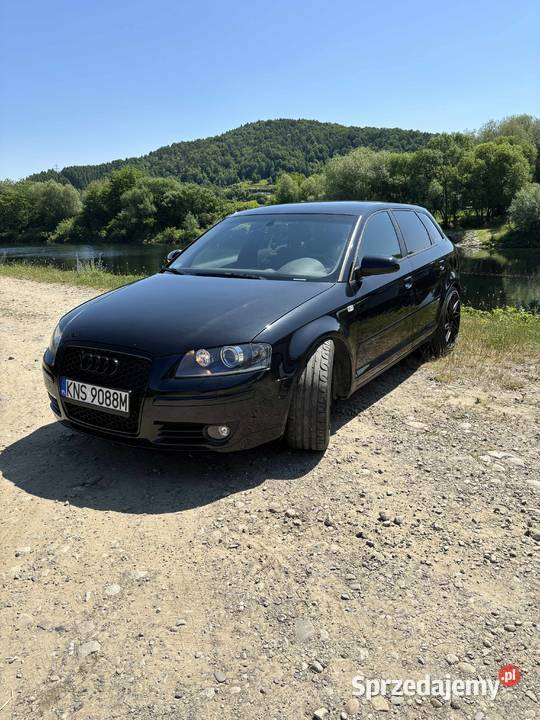 Audi a3 8p 140KM Krasne Potockie