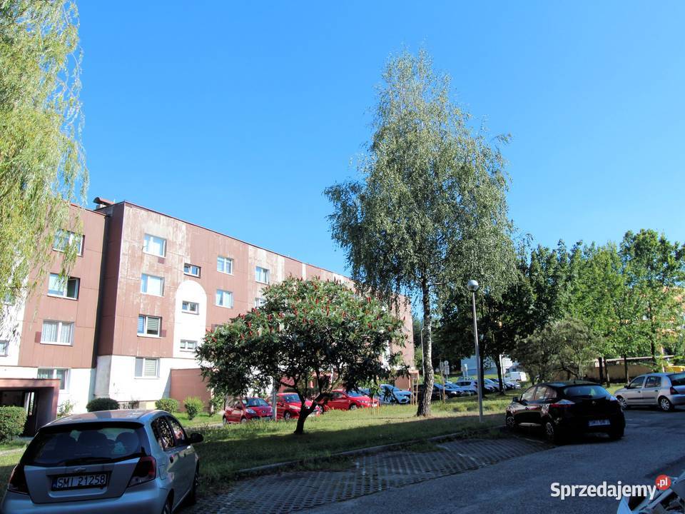 Mieszkanie na wynajem Mikołów 499 m sprzedam
