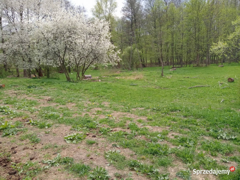 Na sprzedaż działka rolna Wilkanów