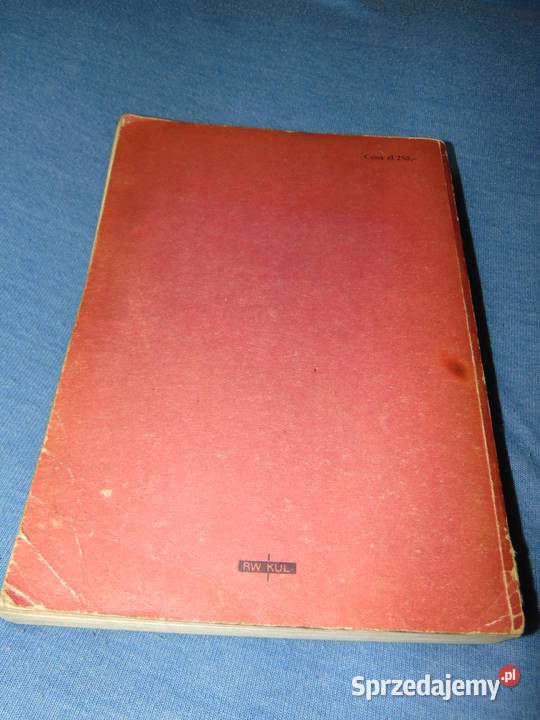 Zagadnienie czasu przedstawionego w obrazie