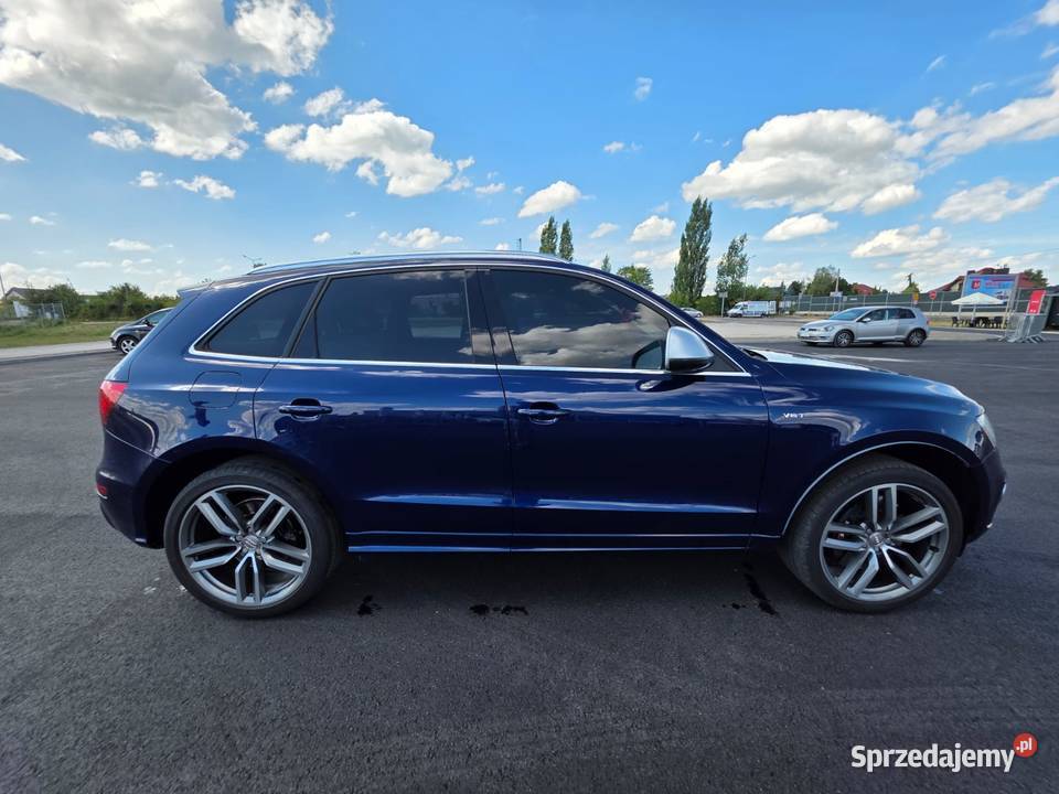 Audi SQ5 30 V6T Premium Plus nieuszkodzony świętokrzyskie Piekoszów