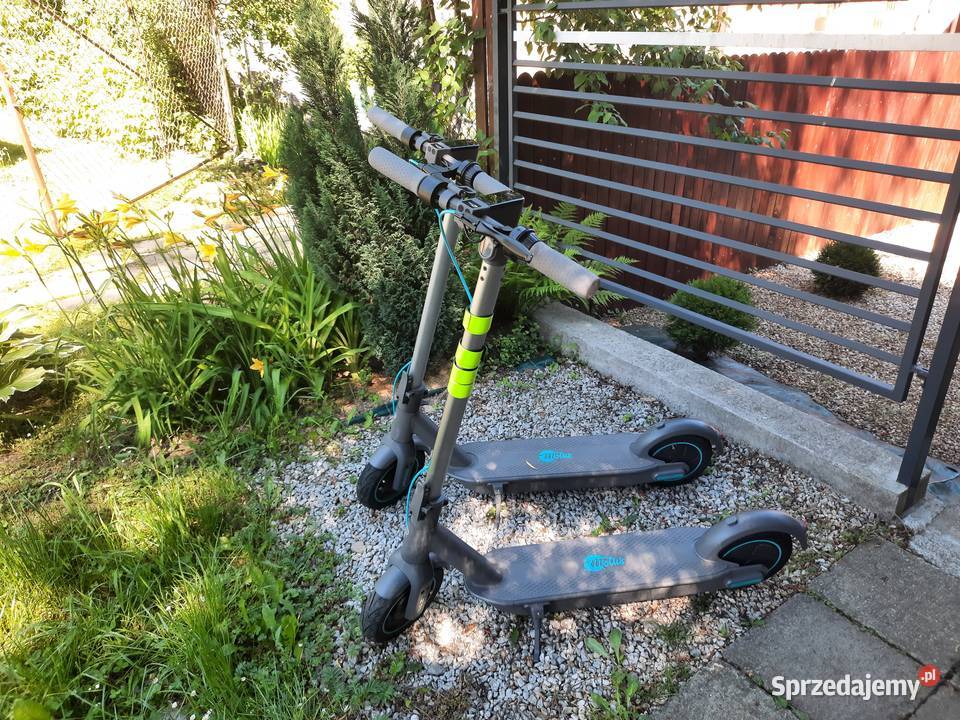 HULAJNOGA MOTUS SCOOTY 10