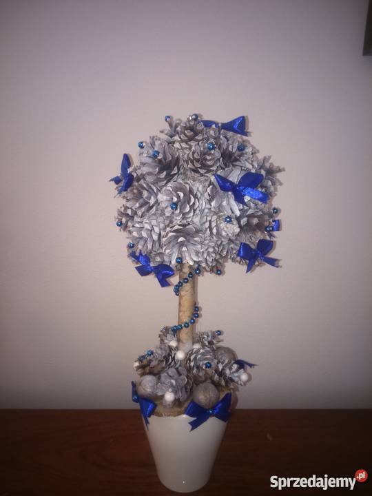 Kula z szyszek w doniczce sprzedam