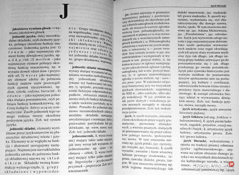 Szkolny słownik terminów o języku Jan Malczewski Chełm