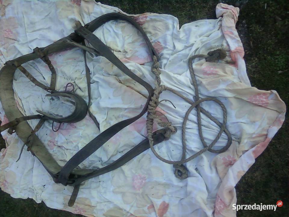 szorka konna Pozostałe Jarosław