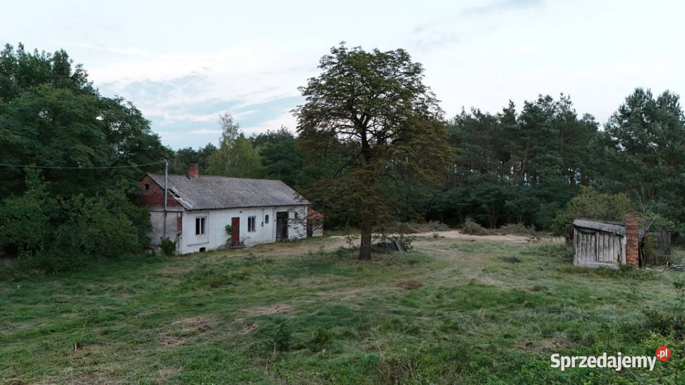Wyjątkowe siedlisko 57 ha z własnym lasem łódzkie Jadwichna