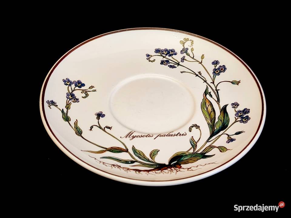 Zestaw kawowy Villeroy Boch Botanica lubelskie Chełm