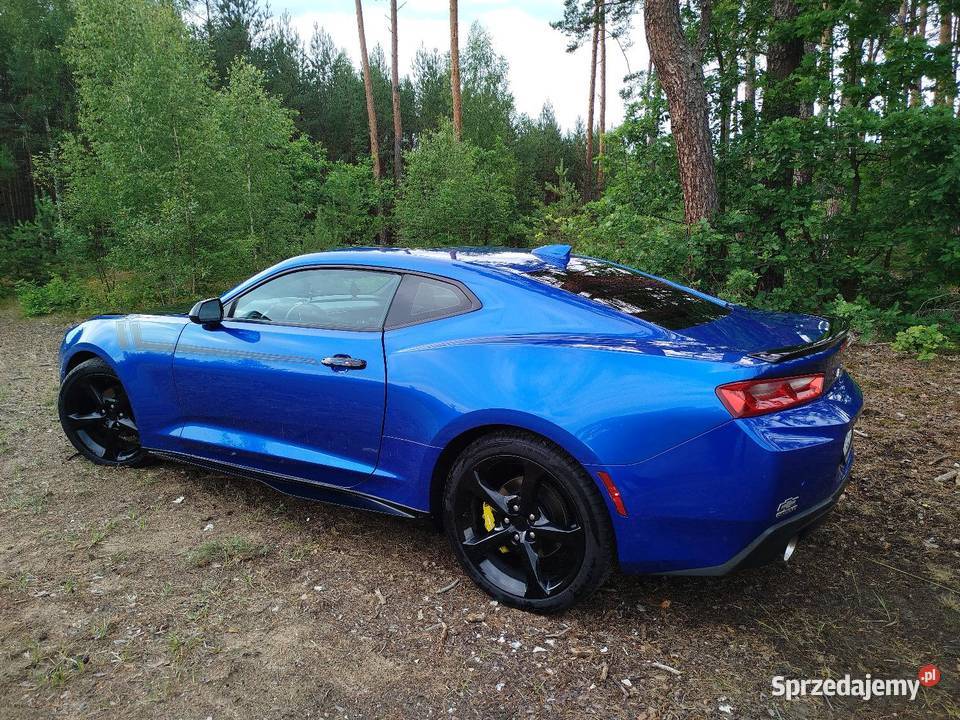 Chevrolet Camaro 20 Turbo 275 2017 PEŁNA NISKI Rok produkcji 2017 Grójec