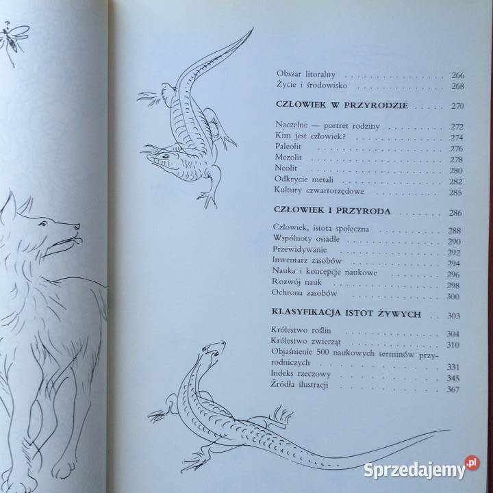 2582 Encyklopedia Larousse Szczecin